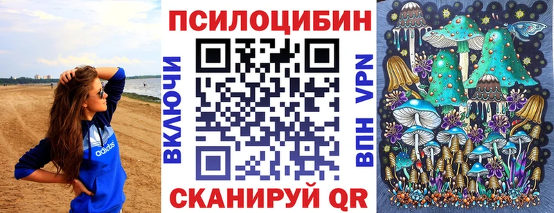 где купить наркотик  Чаплыгин  Галлюциногенные грибы Psilocybe 