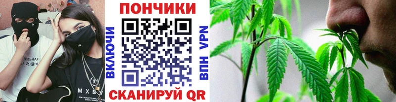 omg tor  Чаплыгин  Шишки марихуана план 